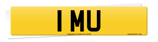 Registration 1 MU